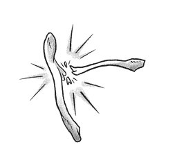 Spellbook logo — back to home